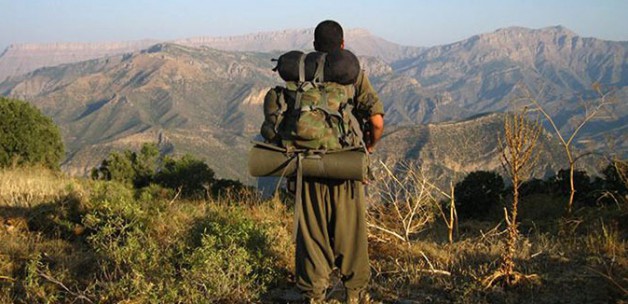 Ağrı’da 1 PKK’lı Teslim Oldu