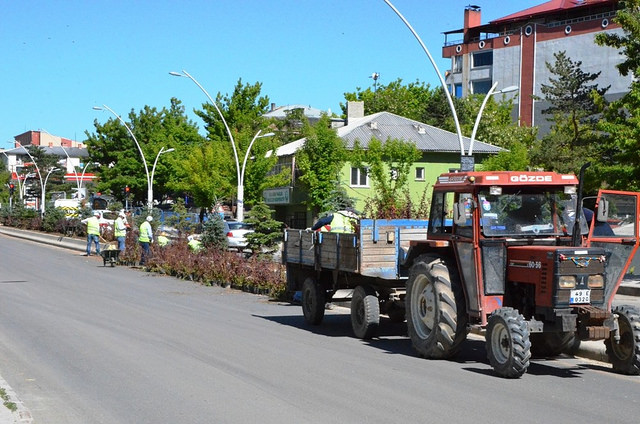 Ağrı Belediyesi Peyzaj çalışmasına devam ediyor