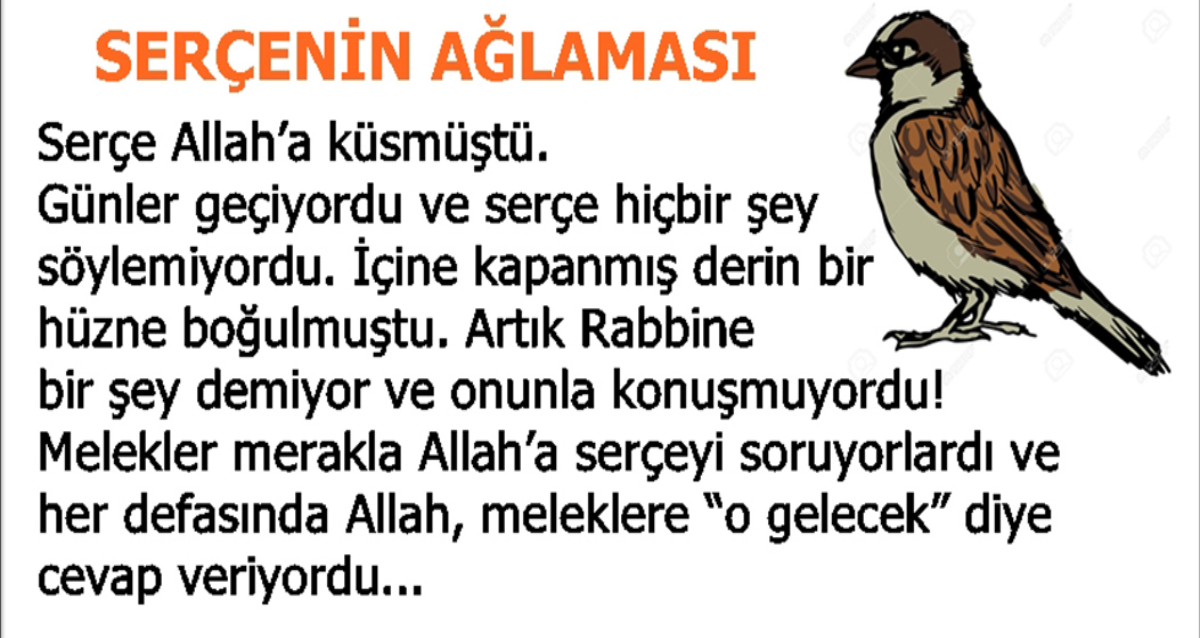 Serçe Allah’a küsmüştü.