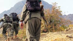 Ağrı’da 2 PKK’lı terörist öldürüldü