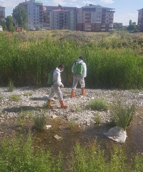 Ağrı Belediyesi’nden İlaçlama Çalışması