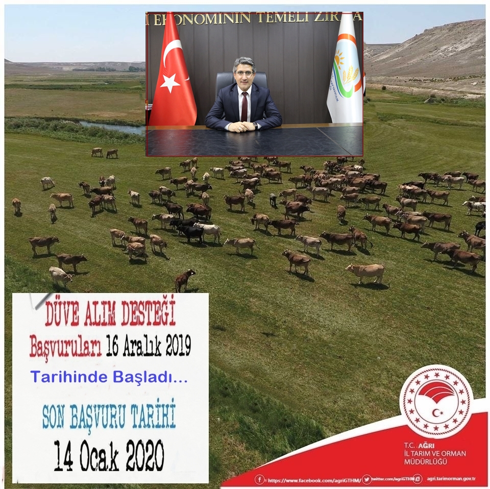 AĞRI’DA 2019 YILI %40 HİBELİ DÜVE ALIM DESTEĞİ BAŞVURULARI BAŞLADI.