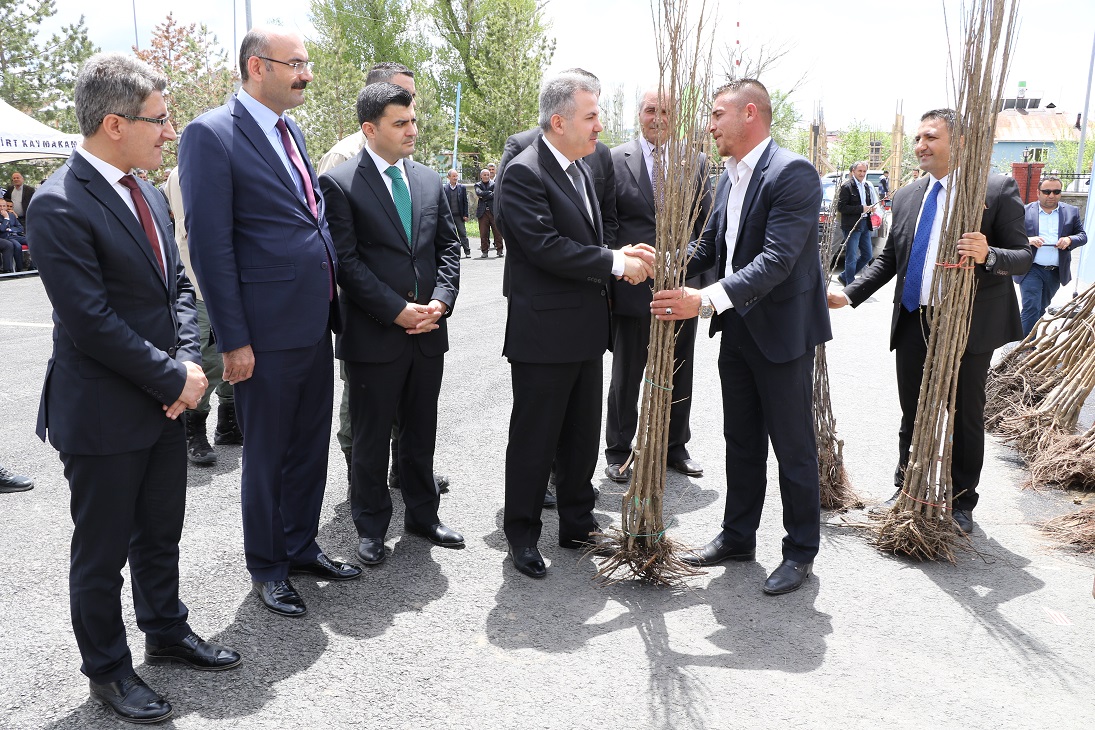 MEYVE FİDANLARI TOPRAKLA BULUŞUYOR