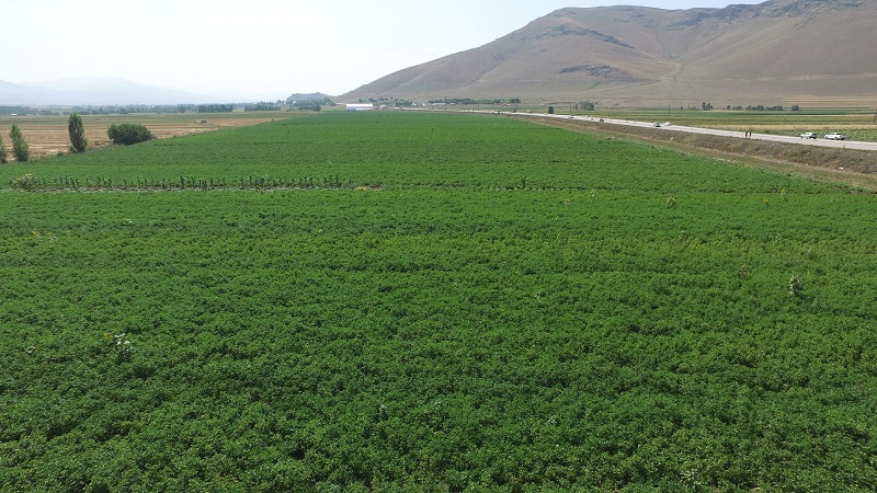 Erzurum, Erzincan ve Ağrı’da Sulama Sezonu Tamamlandı